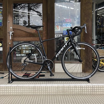 GIANT CONTEND 2